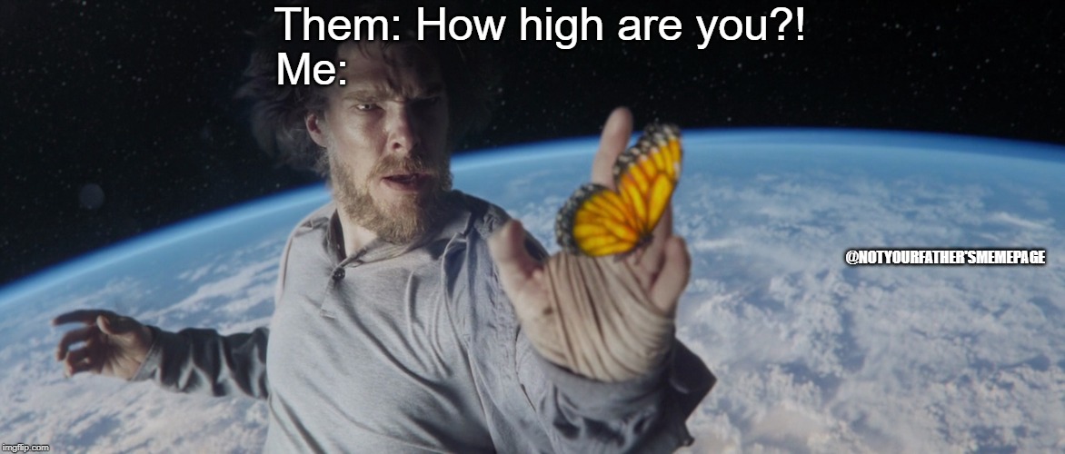 The Snozzberries taste like Snozzberries! | Them: How high are you?! Me:; @NOTYOURFATHER'SMEMEPAGE | image tagged in smoke weed everyday,weed,too damn high,high,baked,dr strange | made w/ Imgflip meme maker