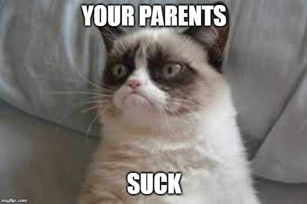 Grumpy cat | YOUR PARENTS SUCK | image tagged in grumpy cat | made w/ Imgflip meme maker