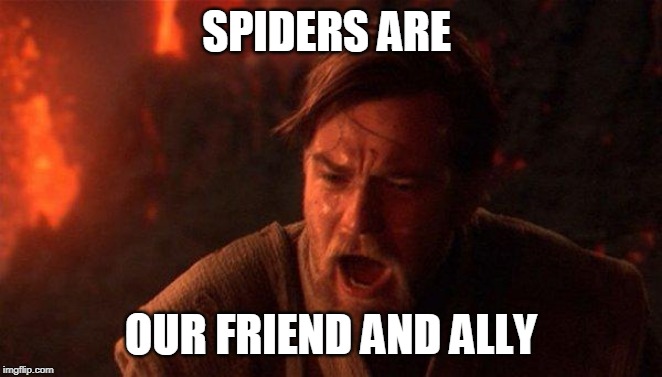 You Were The Chosen One (Star Wars) Meme | SPIDERS ARE OUR FRIEND AND ALLY | image tagged in memes,you were the chosen one star wars | made w/ Imgflip meme maker