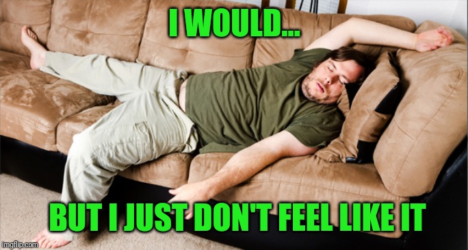 lazy | I WOULD... BUT I JUST DON'T FEEL LIKE IT | image tagged in lazy | made w/ Imgflip meme maker
