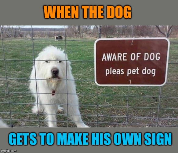 Pleas don’t fleas | WHEN THE DOG; GETS TO MAKE HIS OWN SIGN | image tagged in funny dogs,funny signs,funny memes | made w/ Imgflip meme maker