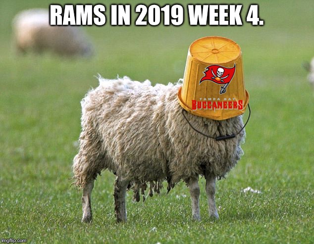 Rams lost to the Bucs | RAMS IN 2019 WEEK 4. | image tagged in stupid sheep,memes,rams,nfl football,bucket,florida | made w/ Imgflip meme maker