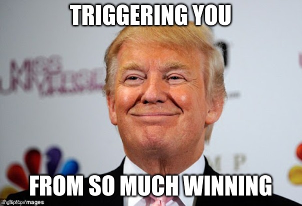 Donald trump approves | TRIGGERING YOU FROM SO MUCH WINNING | image tagged in donald trump approves | made w/ Imgflip meme maker