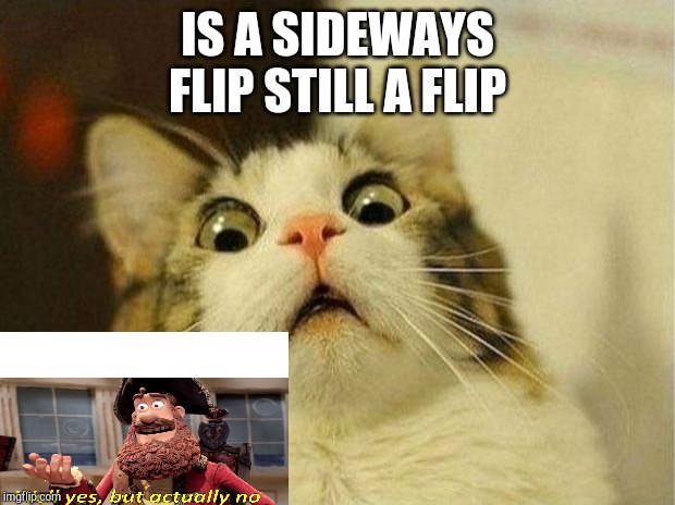 Scared Cat | IS A SIDEWAYS FLIP STILL A FLIP | image tagged in memes,scared cat | made w/ Imgflip meme maker