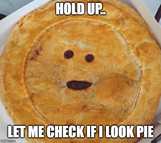 Do I look pie? | HOLD UP.. LET ME CHECK IF I LOOK PIE | image tagged in high,funny,pie,stoner | made w/ Imgflip meme maker