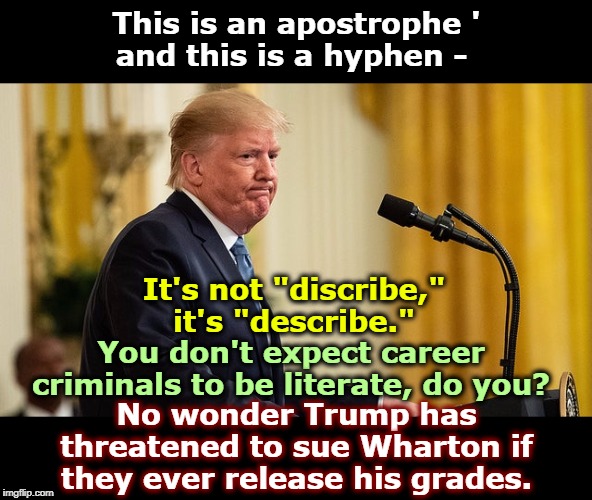 As long as Trump is threatening to sue everybody in sight, why doesn't he start with his Spellchecker? | This is an apostrophe '
and this is a hyphen -; It's not "discribe," it's "describe."; You don't expect career criminals to be literate, do you? No wonder Trump has threatened to sue Wharton if they ever release his grades. | image tagged in trump frustrated when people don't buy his bullshit,trump,illiterate,spelling,punctuation,tweet | made w/ Imgflip meme maker