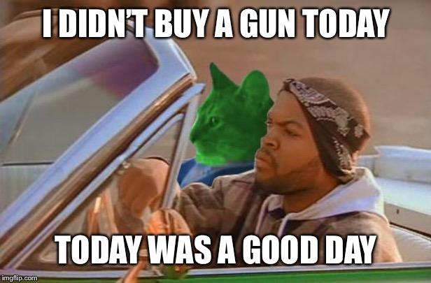Driving RayCat | I DIDN’T BUY A GUN TODAY TODAY WAS A GOOD DAY | image tagged in driving raycat | made w/ Imgflip meme maker
