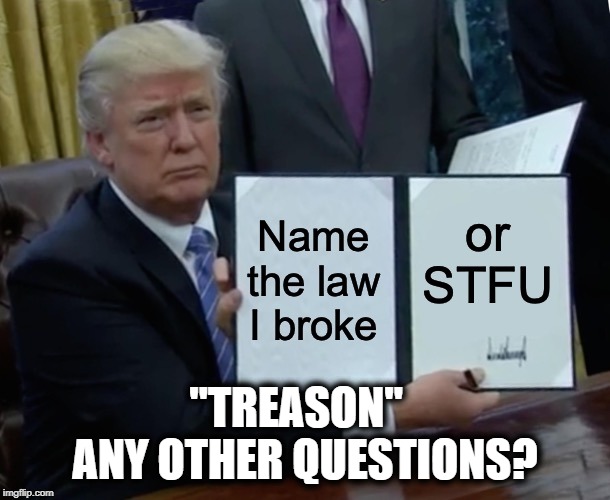 It's called "Treason". | "TREASON"   ANY OTHER QUESTIONS? | image tagged in donald trump,impeach trump,traitor,treason,impeach,dumbass trump supporters | made w/ Imgflip meme maker