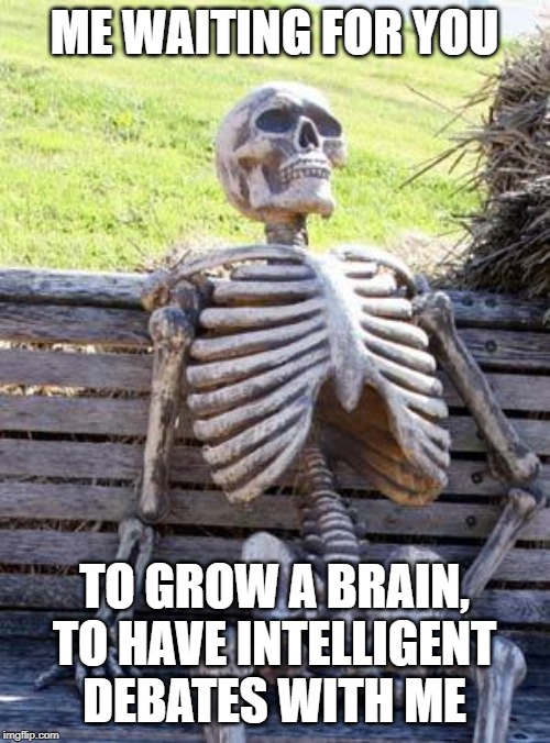 Still waiting... |  ME WAITING FOR YOU; TO GROW A BRAIN, TO HAVE INTELLIGENT DEBATES WITH ME | image tagged in memes,waiting skeleton,intelligence is lacking,debating online,brain damage | made w/ Imgflip meme maker