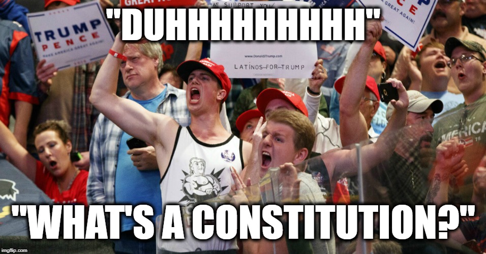 Illiterate and Uninformed. The hallmarks of a Trump supporter. | "DUHHHHHHHHH"; "WHAT'S A CONSTITUTION?" | image tagged in donald trump,impeach trump,traitor,treason,consitution,trump supporters | made w/ Imgflip meme maker