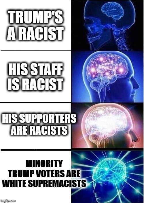 trump is racist | TRUMP'S A RACIST; HIS STAFF IS RACIST; HIS SUPPORTERS ARE RACISTS; MINORITY TRUMP VOTERS ARE WHITE SUPREMACISTS | image tagged in memes,expanding brain,trump,racism,minorities,white supremacy | made w/ Imgflip meme maker