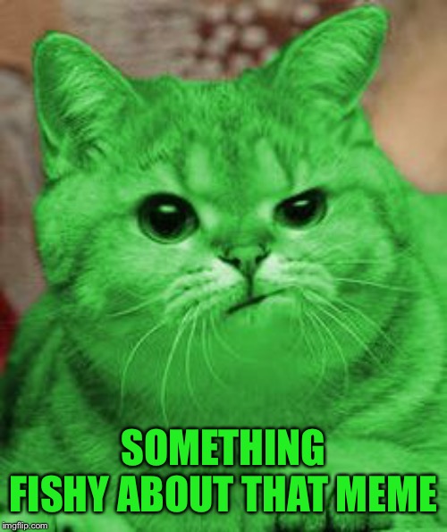 RayCat Annoyed | SOMETHING FISHY ABOUT THAT MEME | image tagged in raycat annoyed | made w/ Imgflip meme maker