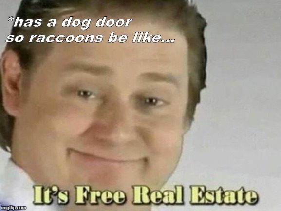 *has a dog door so raccoons be like... | made w/ Imgflip meme maker
