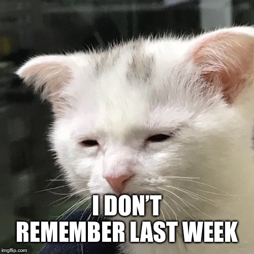Depressed Cat | I DON’T REMEMBER LAST WEEK | image tagged in depressed cat | made w/ Imgflip meme maker