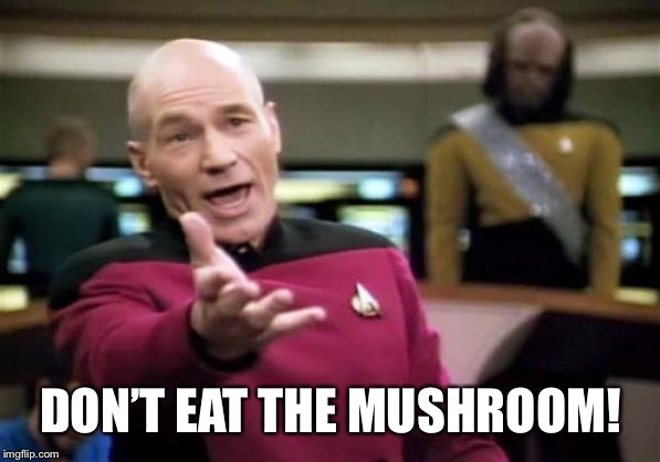 Picard Wtf Meme | DON’T EAT THE MUSHROOM! | image tagged in memes,picard wtf | made w/ Imgflip meme maker