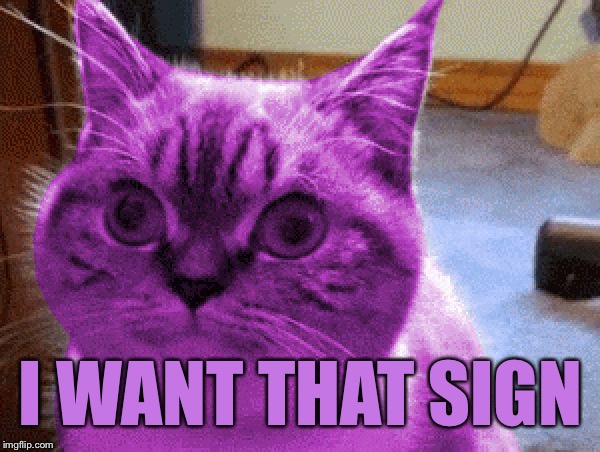 RayCat derp | I WANT THAT SIGN | image tagged in raycat derp | made w/ Imgflip meme maker