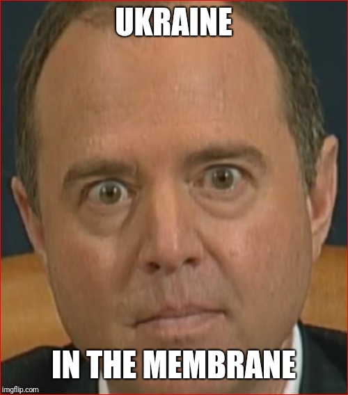 Adam Schiff | UKRAINE; IN THE MEMBRANE | image tagged in adam schiff | made w/ Imgflip meme maker