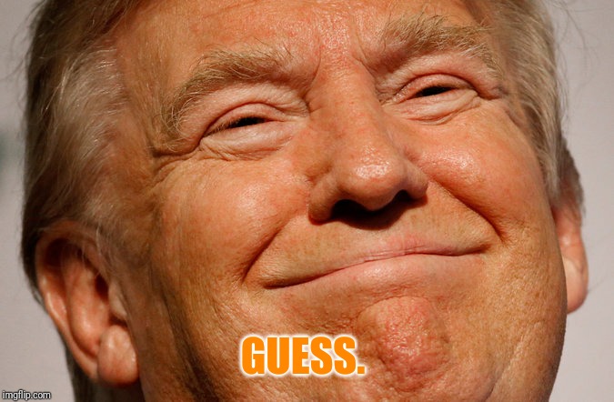 Trump Smile | GUESS. | image tagged in trump smile | made w/ Imgflip meme maker