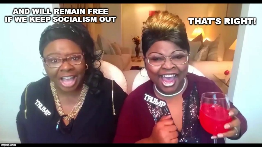 fox | AND WILL REMAIN FREE IF WE KEEP SOCIALISM OUT THAT'S RIGHT! | image tagged in fox | made w/ Imgflip meme maker