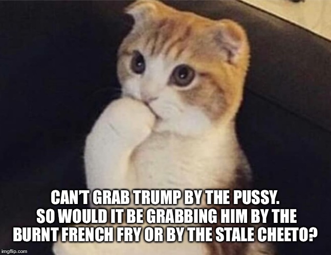 Thinking Cat  | CAN’T GRAB TRUMP BY THE PUSSY.  SO WOULD IT BE GRABBING HIM BY THE BURNT FRENCH FRY OR BY THE STALE CHEETO? | image tagged in thinking cat | made w/ Imgflip meme maker