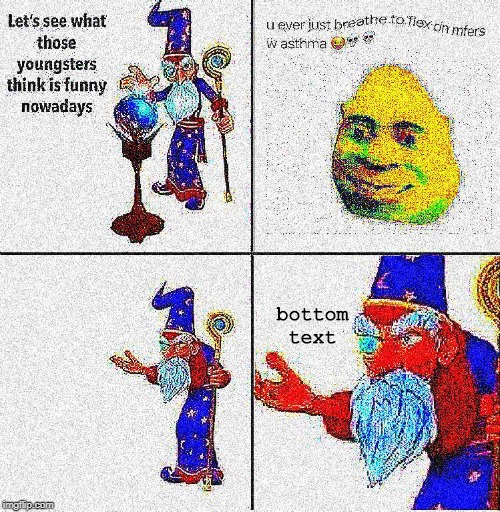 Lets see. | bottom text | image tagged in lets see what those youngsters think is funny nowadays,wizard,shrek,deep fried,clapped,you ever just | made w/ Imgflip meme maker