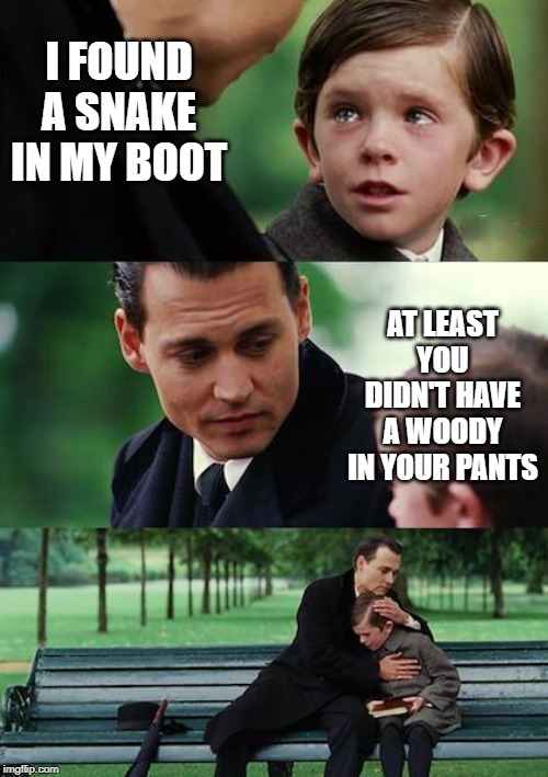 A Toy Story? | I FOUND A SNAKE IN MY BOOT; AT LEAST YOU DIDN'T HAVE A WOODY IN YOUR PANTS | image tagged in memes,finding neverland | made w/ Imgflip meme maker