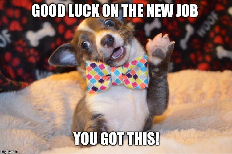 new job | GOOD LUCK ON THE NEW JOB; YOU GOT THIS! | image tagged in new job | made w/ Imgflip meme maker