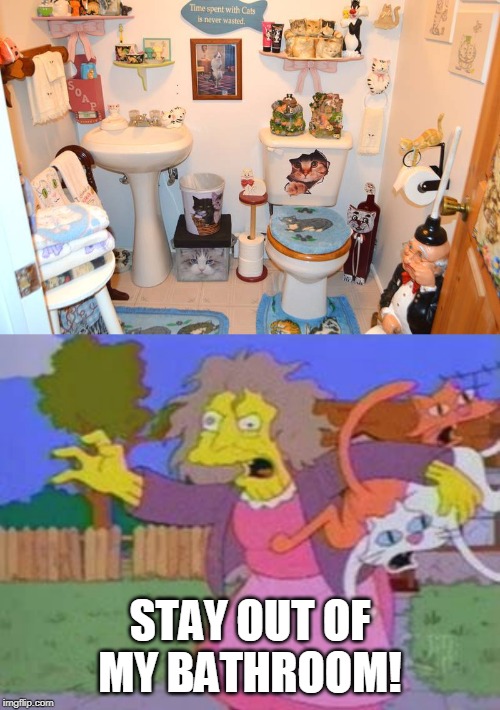 CRAZY CAT LADYS BATHROOM | STAY OUT OF MY BATHROOM! | image tagged in the real crazy cat lady,cats | made w/ Imgflip meme maker