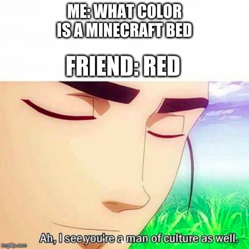 Ah yes, finally, a man of culture | ME: WHAT COLOR IS A MINECRAFT BED; FRIEND: RED | image tagged in ah i see you are a man of culture as well,meme,funny meme,funny,funny memes | made w/ Imgflip meme maker