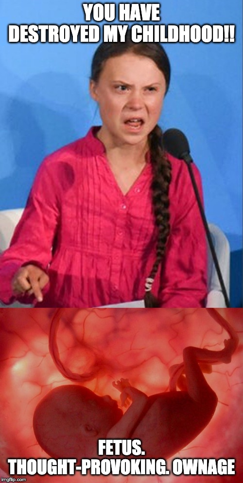 eyyy literally saw this type of thing 3 times in one stream | YOU HAVE DESTROYED MY CHILDHOOD!! FETUS. THOUGHT-PROVOKING. OWNAGE | image tagged in fetus,greta thunberg how dare you | made w/ Imgflip meme maker