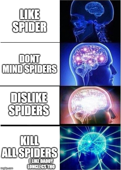 Expanding Brain | LIKE SPIDER; DONT MIND SPIDERS; DISLIKE SPIDERS; KILL ALL SPIDERS; I LIKE DADDY LONGLEGS THO | image tagged in memes,expanding brain | made w/ Imgflip meme maker