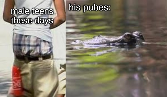 his pubes:; male teens these days | image tagged in memes,kids | made w/ Imgflip meme maker