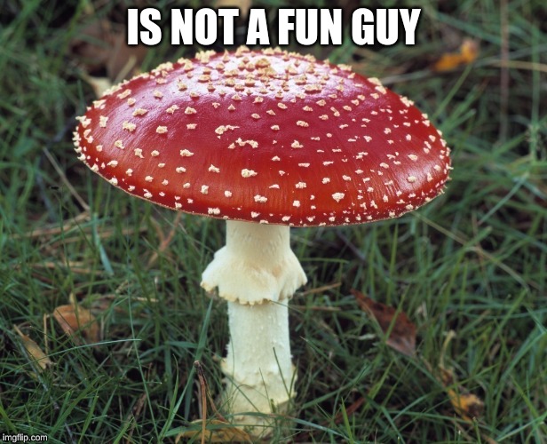 IS NOT A FUN GUY | image tagged in memes | made w/ Imgflip meme maker