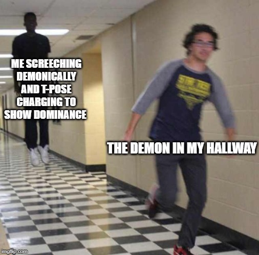 floating boy chasing running boy | ME SCREECHING DEMONICALLY AND T-POSE CHARGING TO SHOW DOMINANCE; THE DEMON IN MY HALLWAY | image tagged in floating boy chasing running boy | made w/ Imgflip meme maker