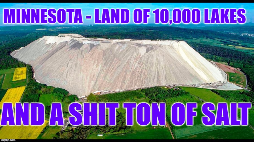 Minnesota Salt | MINNESOTA - LAND OF 10,000 LAKES; AND A SHIT TON OF SALT | image tagged in salty,vikings,bears,salty fans | made w/ Imgflip meme maker