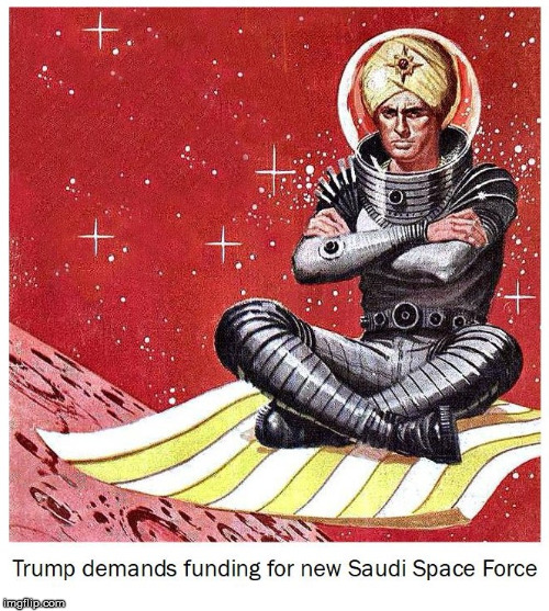 shadow government approves | image tagged in donald trump,trump,space force,funny,politics | made w/ Imgflip meme maker