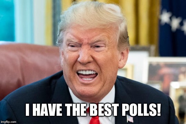 Poll Dive | I HAVE THE BEST POLLS! | image tagged in donald trump,impeach trump,polls,impeachment | made w/ Imgflip meme maker