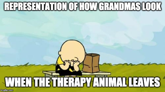 Depressed Charlie Brown | REPRESENTATION OF HOW GRANDMAS LOOK; WHEN THE THERAPY ANIMAL LEAVES | image tagged in depressed charlie brown | made w/ Imgflip meme maker