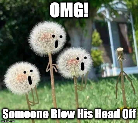 dndy | OMG! Someone Blew His Head Off | image tagged in dndy | made w/ Imgflip meme maker