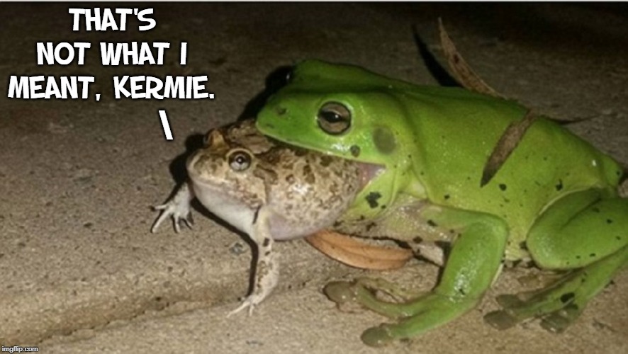 Cane Toads prefer to eat cane toad eggs even when offered other options | THAT'S NOT WHAT I MEANT, KERMIE. \ | image tagged in vince vance,cannibalism,frogs,kermit the frog,eating,cannibals | made w/ Imgflip meme maker