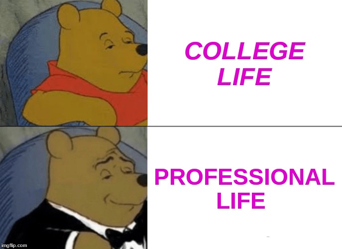Tuxedo Winnie The Pooh | COLLEGE LIFE; PROFESSIONAL LIFE | image tagged in memes,tuxedo winnie the pooh | made w/ Imgflip meme maker