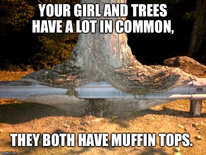 Trees have Muffin Tops too. | YOUR GIRL AND TREES HAVE A LOT IN COMMON, THEY BOTH HAVE MUFFIN TOPS. | image tagged in tree,fat girl,girlfriend,muffin top | made w/ Imgflip meme maker
