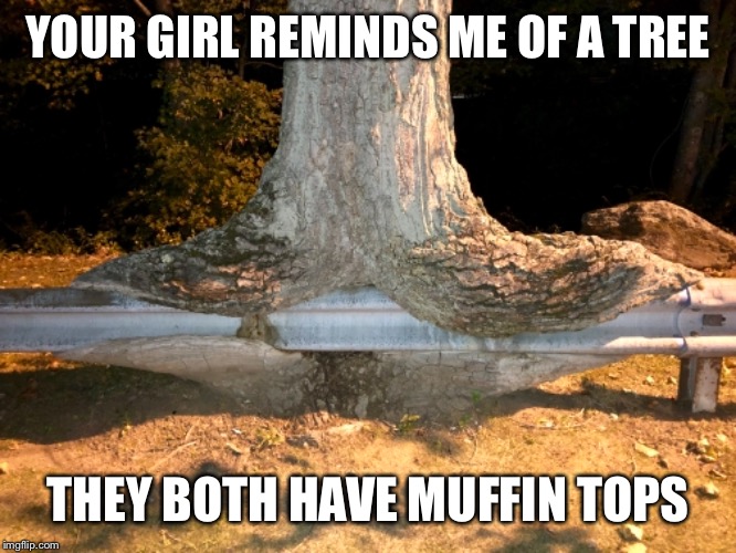 Tree reminds me of your girl | YOUR GIRL REMINDS ME OF A TREE; THEY BOTH HAVE MUFFIN TOPS | image tagged in muffin tops,fat girl,girlfriend | made w/ Imgflip meme maker