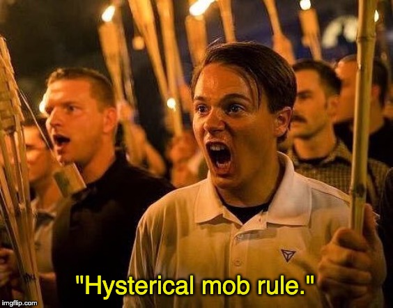 Triggered neo nazi | "Hysterical mob rule." | image tagged in triggered neo nazi | made w/ Imgflip meme maker