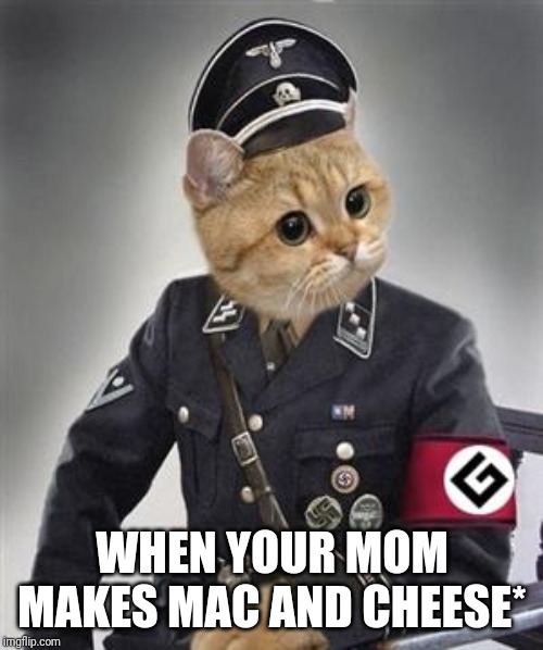 Grammar Nazi Cat | WHEN YOUR MOM MAKES MAC AND CHEESE* | image tagged in grammar nazi cat | made w/ Imgflip meme maker