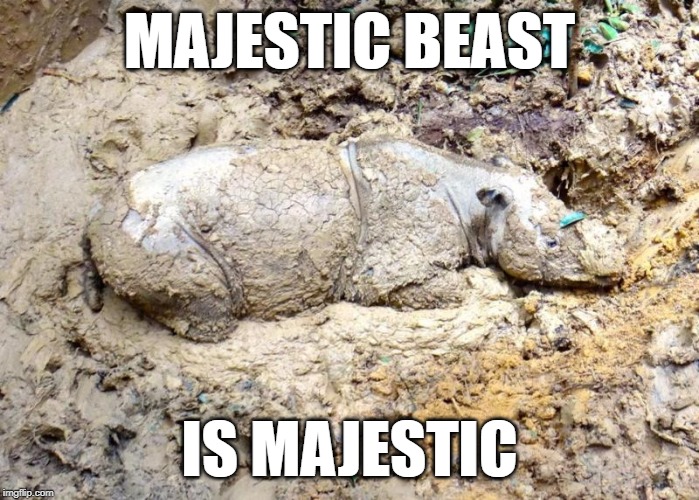 MAJESTIC BEAST; IS MAJESTIC | made w/ Imgflip meme maker