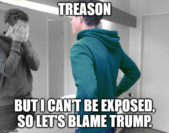 mirror | TREASON; BUT I CAN'T BE EXPOSED, SO LET'S BLAME TRUMP. | image tagged in mirror | made w/ Imgflip meme maker