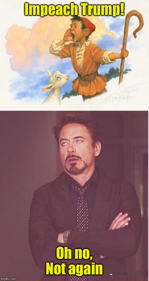 The Democrats who cried wolf | Impeach Trump! Oh no, Not again | image tagged in memes,face you make robert downey jr,crying democrats,impeach trump | made w/ Imgflip meme maker