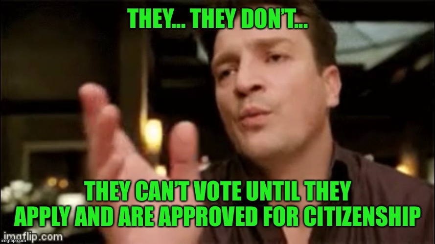 THEY... THEY DON’T... THEY CAN’T VOTE UNTIL THEY APPLY AND ARE APPROVED FOR CITIZENSHIP | made w/ Imgflip meme maker