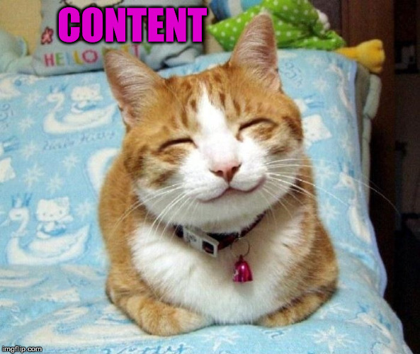 Cute Smiling Cat | CONTENT | image tagged in cute smiling cat | made w/ Imgflip meme maker
